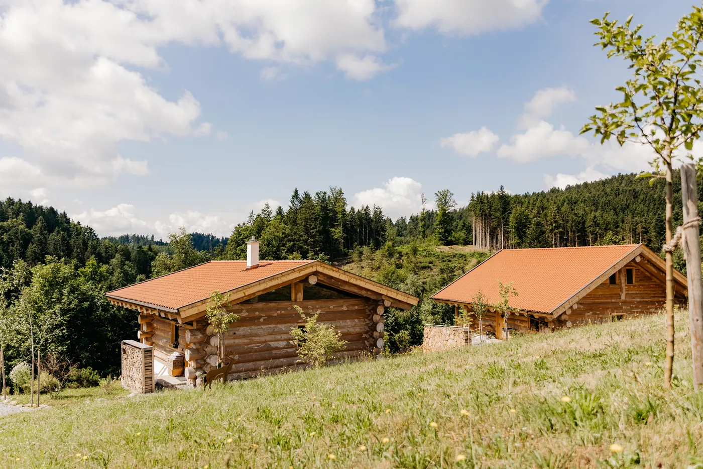 Zwei Chalets auf der Wiese vor dem Wald
